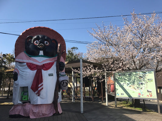 今年も桜満開でした