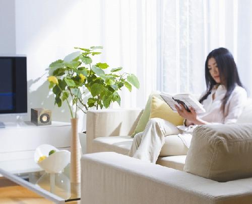 スピーカー ボックス (スノー)